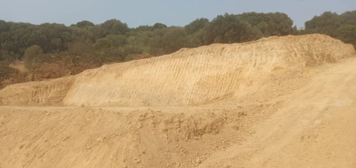 Vente Terrain Tipaza Kolea