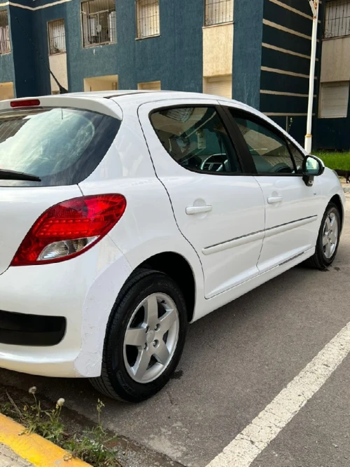 Peugeot 207 2012 Fennec