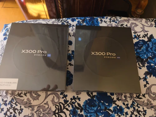 Vivo X300 pro