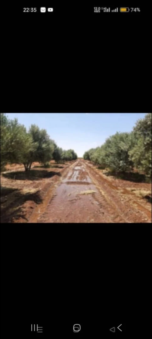 Vente Terrain Agricole Saïda Saida