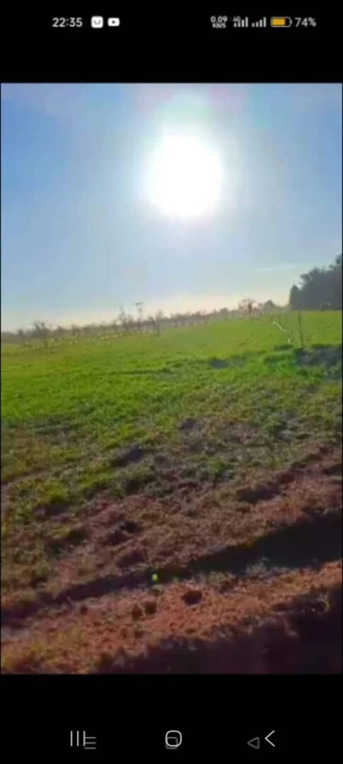 Vente Terrain Agricole Saïda Saida