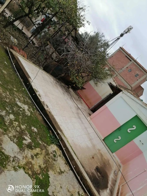 Vente Appartement Niveau de villa F6 Aïn Defla Ain defla