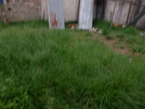 Vente Villa Jijel Djemaa beni habibi