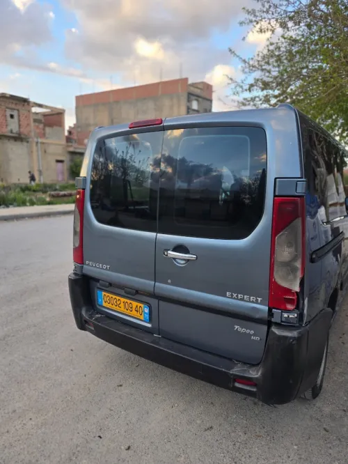 Peugeot Expert 2009 Familialle 9 places