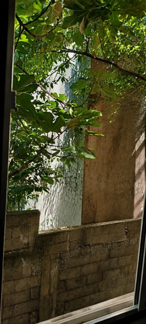 Vente Villa Souk Ahras Souk ahras