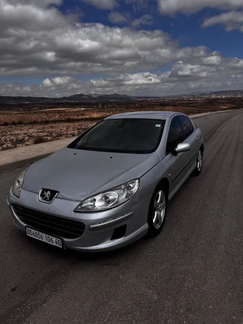 Peugeot 407 2006 407 6