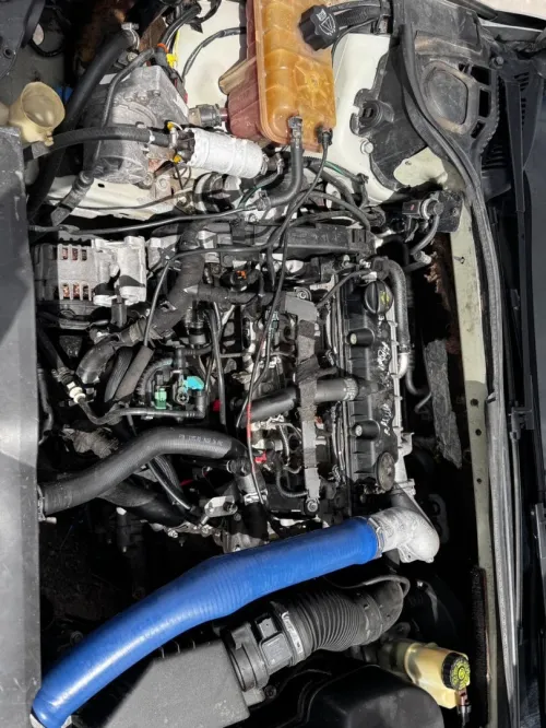 Peugeot 407 2006 407 11