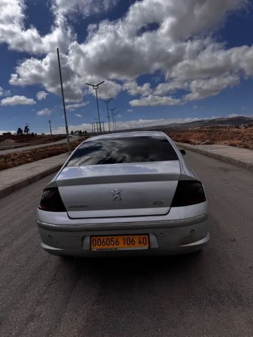 Peugeot 407 2006 407 14