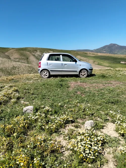 Hyundai Atos 2008 
