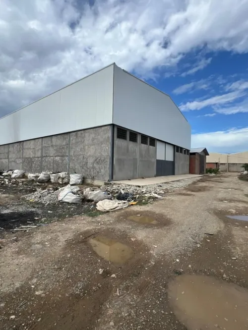 Vente Hangar - Usine Alger Birtouta