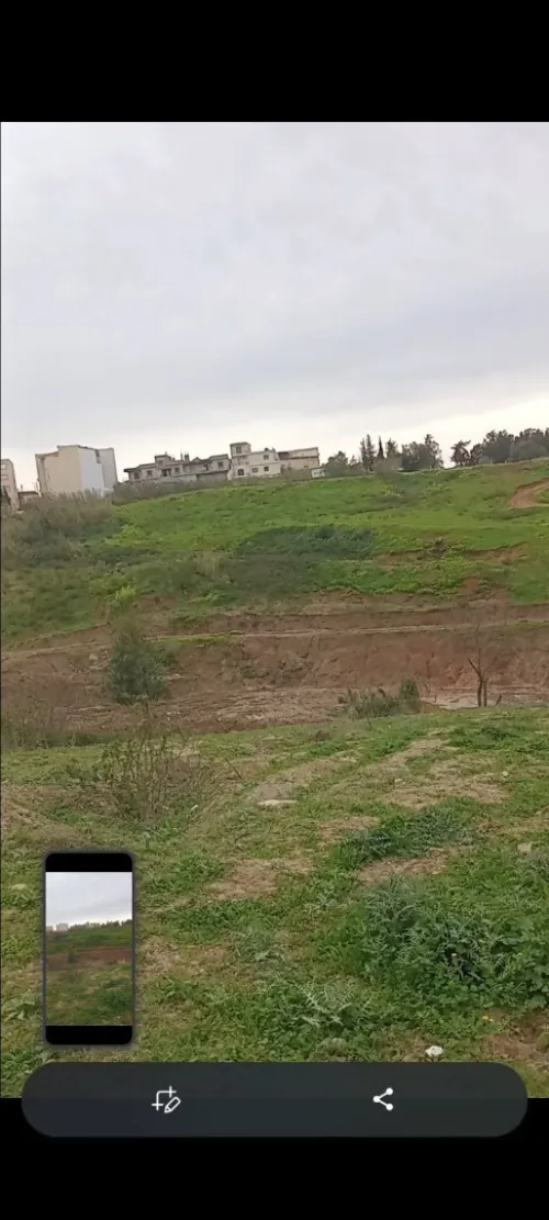 Vente Terrain Alger Ouled fayet