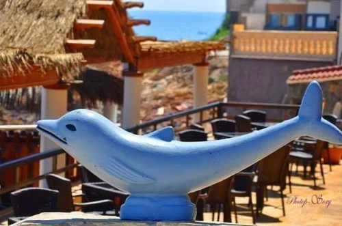 Vente bien immobilier Oran Oran
