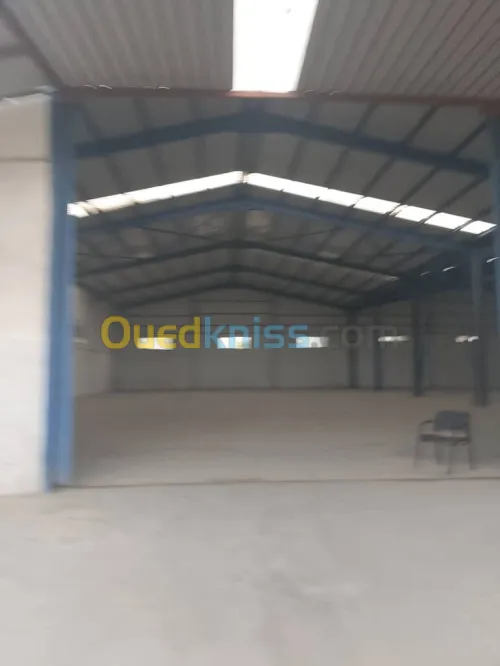 Location Hangar - Usine Boumerdès Ouled hedadj