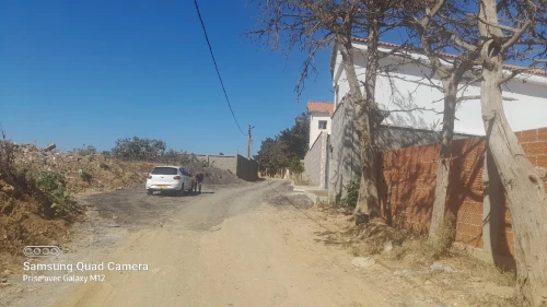 Vente Terrain Alger Ouled fayet