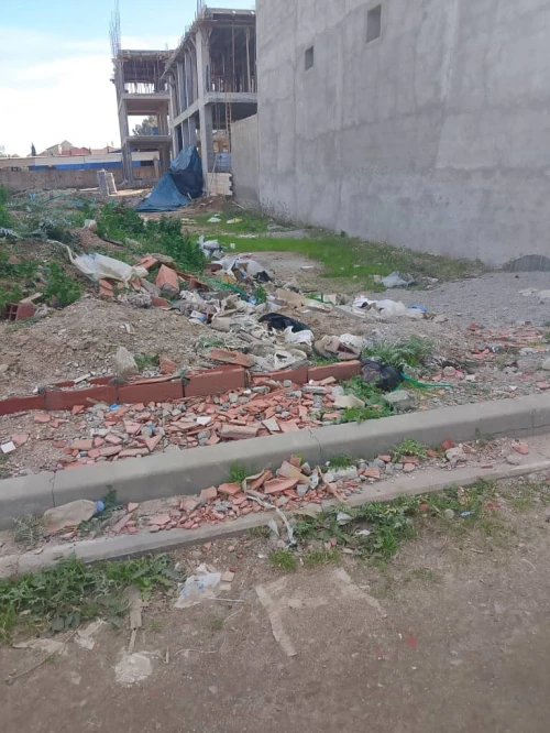Vente Terrain Alger Rouiba