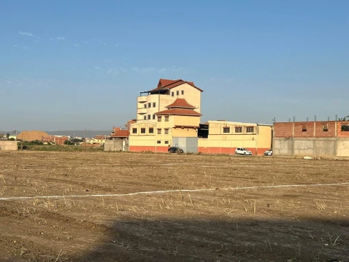 Vente Terrain Boumerdès Ouled moussa