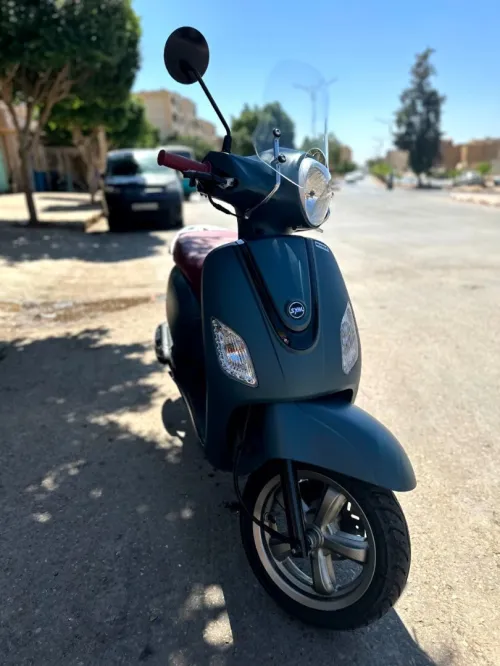 Sym fiddle 3 Fiddle 3 2025