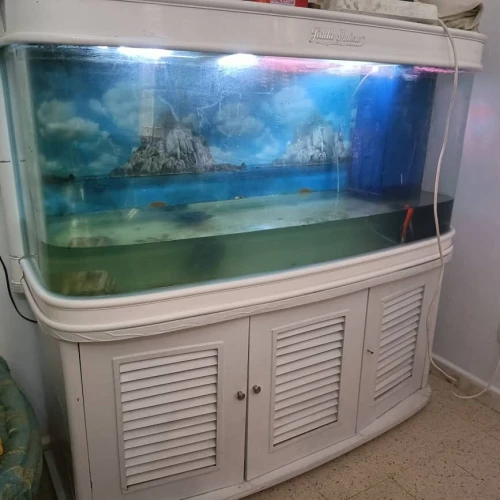 Aquarium 