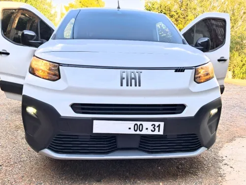Fiat Doblo Van 2024 