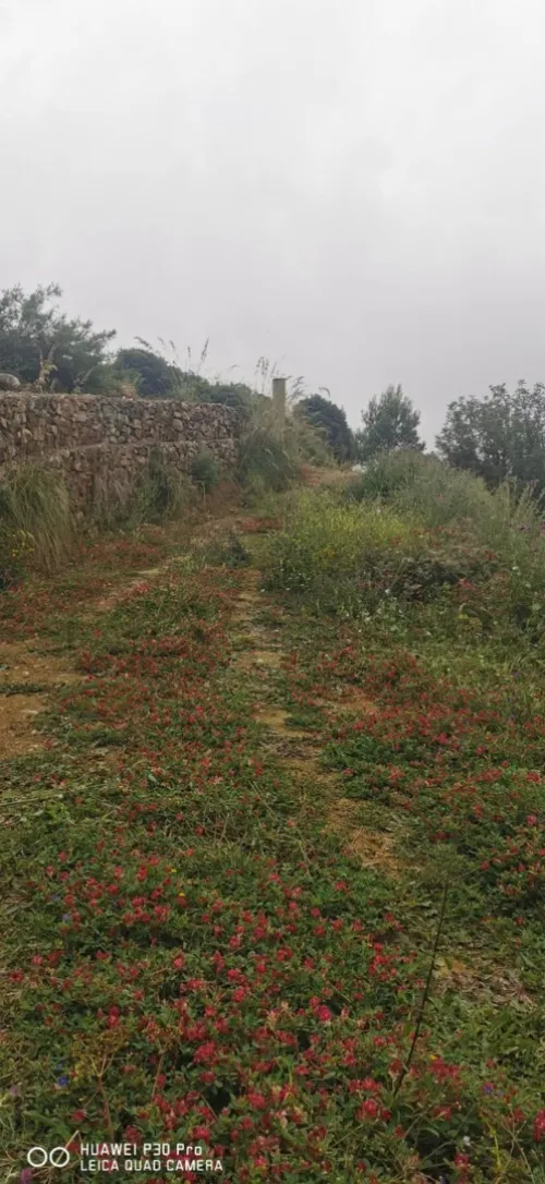 Vente Terrain Béjaïa Bejaia