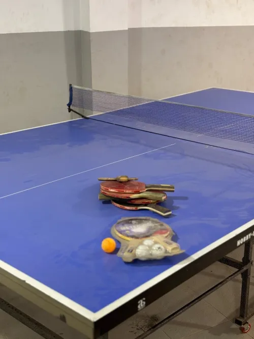 Ping pong HOBY-LINE