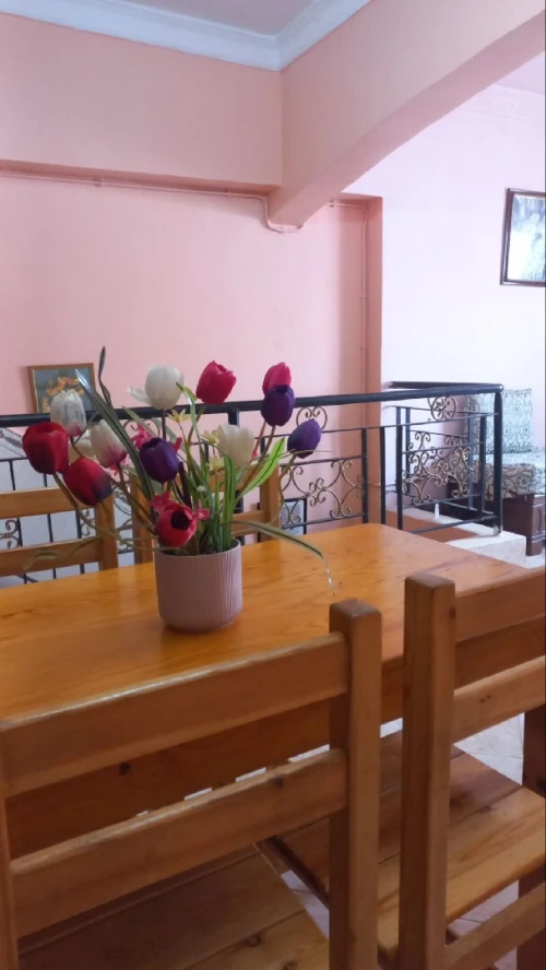 Location vacances Appartement F2 Alger Alger centre
