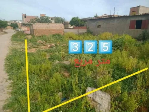 Vente Terrain El Tarf El taref