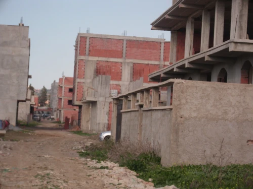 Vente Terrain Alger Tessala el merdja