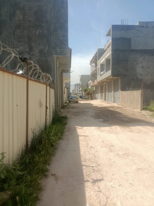 Vente Terrain Alger Tessala el merdja