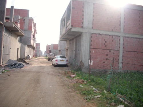 Vente Terrain Alger Tessala el merdja