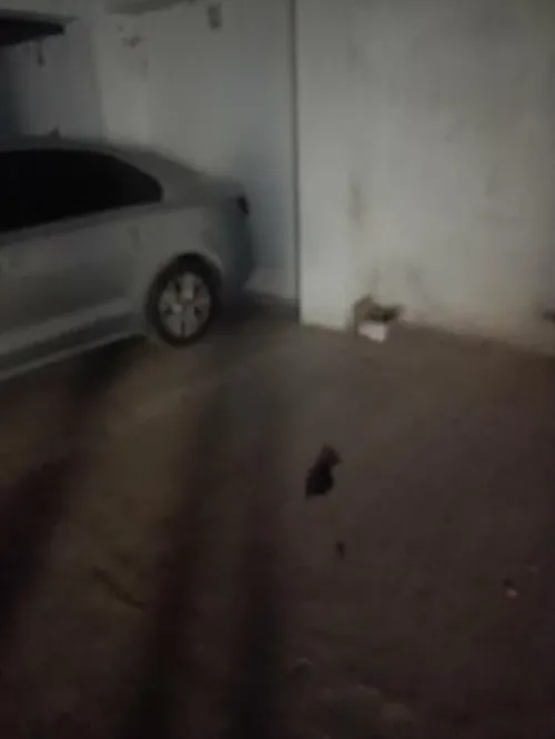 Location Appartement F2 Alger Staoueli