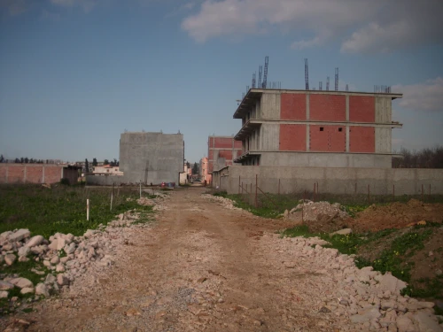Vente Terrain Alger Tessala el merdja