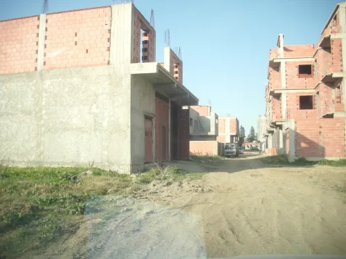 Vente Terrain Alger Tessala el merdja