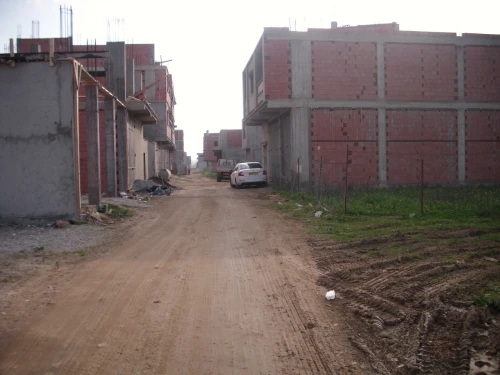 Vente Terrain Alger Tessala el merdja
