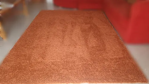 Tapis de salon 