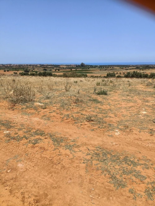 Vente Terrain Mostaganem Sidi lakhdaara