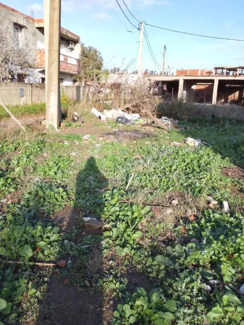 Vente Terrain Blida Meftah