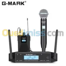 Double microphone professionnel cravate et à main sans fil 