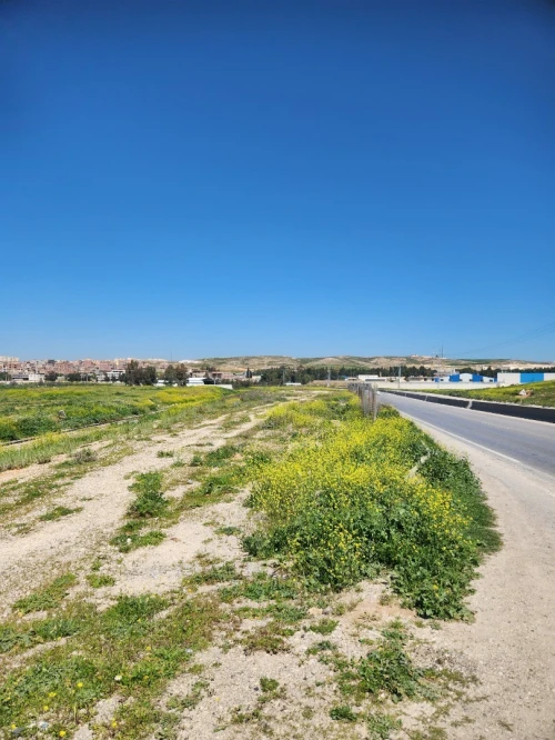Vente Terrain Constantine El khroub