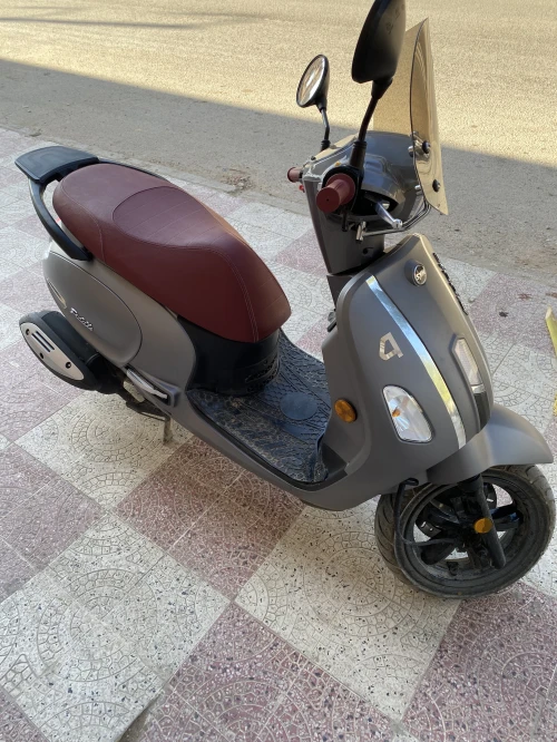 Sym Fiddle 4 2026