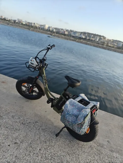 Velo électrique