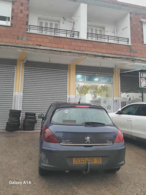 Peugeot 308 2008 