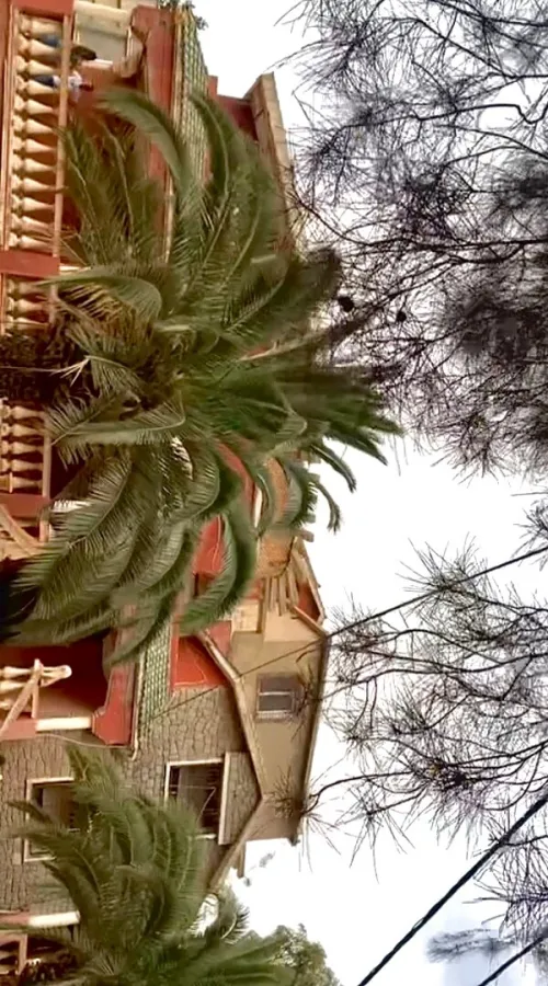 Vente Terrain Oran Sidi chami