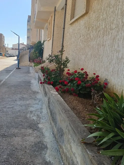 Location Appartement F3 Béjaïa Beni ksila