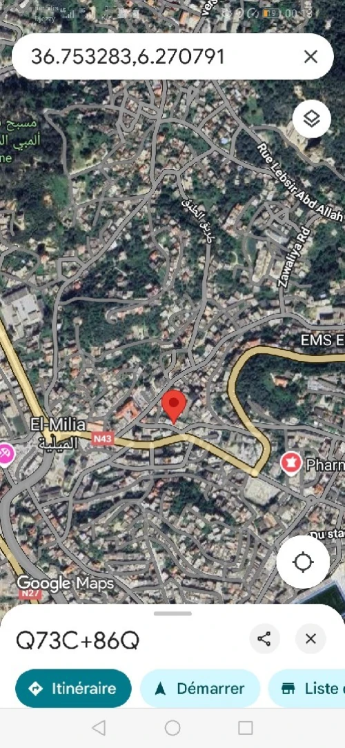Vente Local Jijel El milia