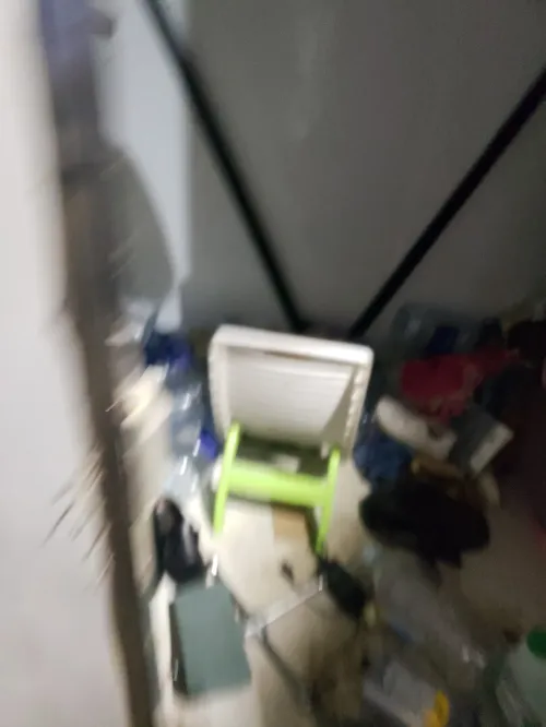 شمبر فريد بوشلي