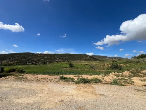 Vente Terrain Chlef Taougrite