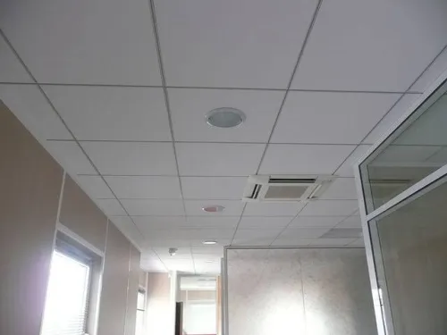 Faux plafond demontabe 60/60 et placoplâtre 