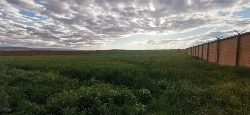 Vente Terrain Sétif Ain arnat