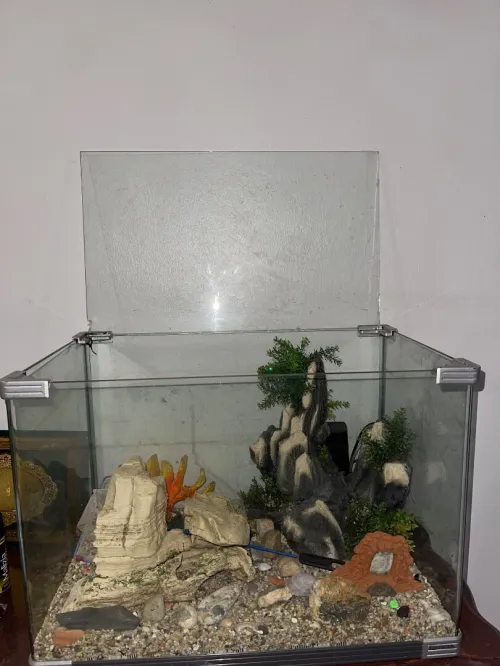 Aquarium 60/41
